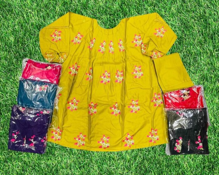 Embroidery 2-Piece Stichted Suit/ Ready To Wear. Rs.1700 Only